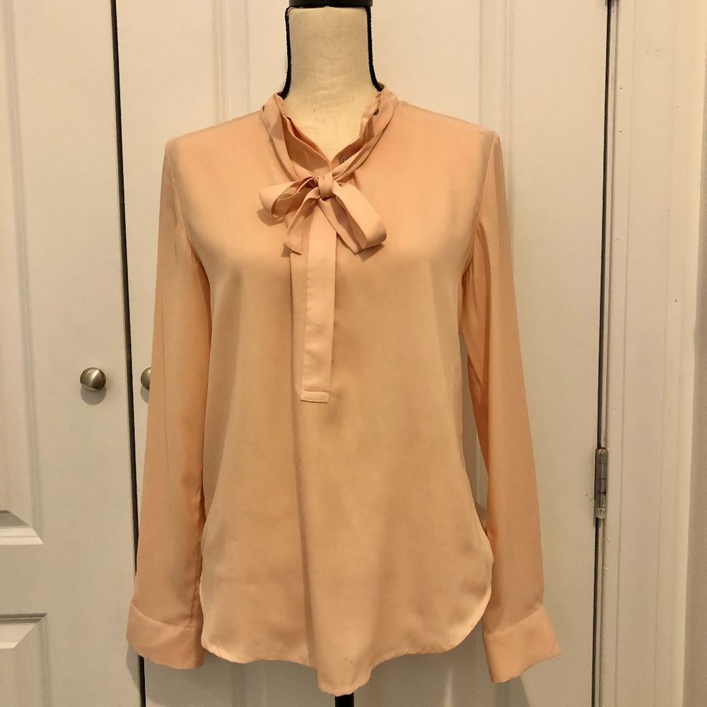 Blush Ann Taylor Tie Neck Blouse